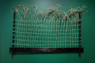 Strands of grass displayed in a grid formation.